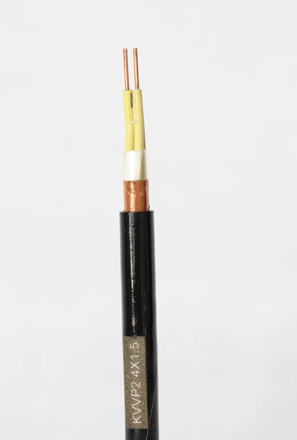 Low Voltage Concentric Cable for Efficient and Safe Electricity Distribution Systems 低压同心电缆,可高效且安全的电力分配系统